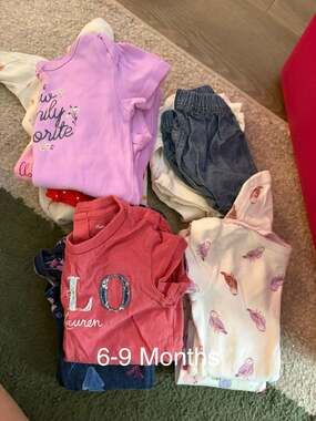 Baby Girl Assorted Bodysuit and Clothing Bundle (6-9 Months)